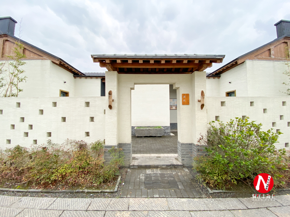 兴化看油菜花一日游,兴化千亩油菜花旅游