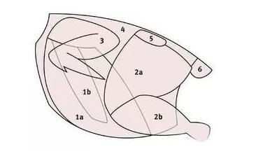 如何在德国超市选择肉制品?