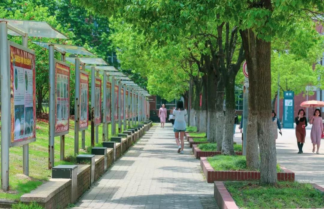 武汉科技大学城市学院报名时间,武汉科技大学城市学院的办学条件