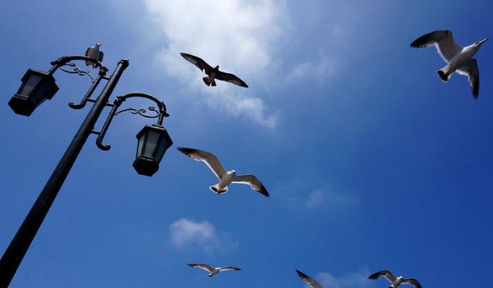 大连行程攻略,大连旅行攻略详细路线推荐图