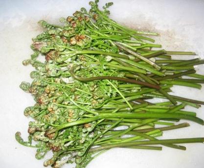 忆清明祖辈给我们留下了什么?