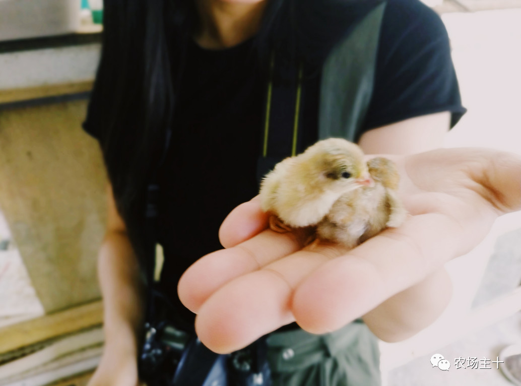 从乞丐到身价200万仅用一年时间,从乞讨到名相的传奇人生