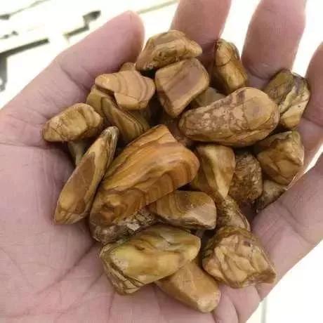 石头玉的鉴别,一块石头一块玉