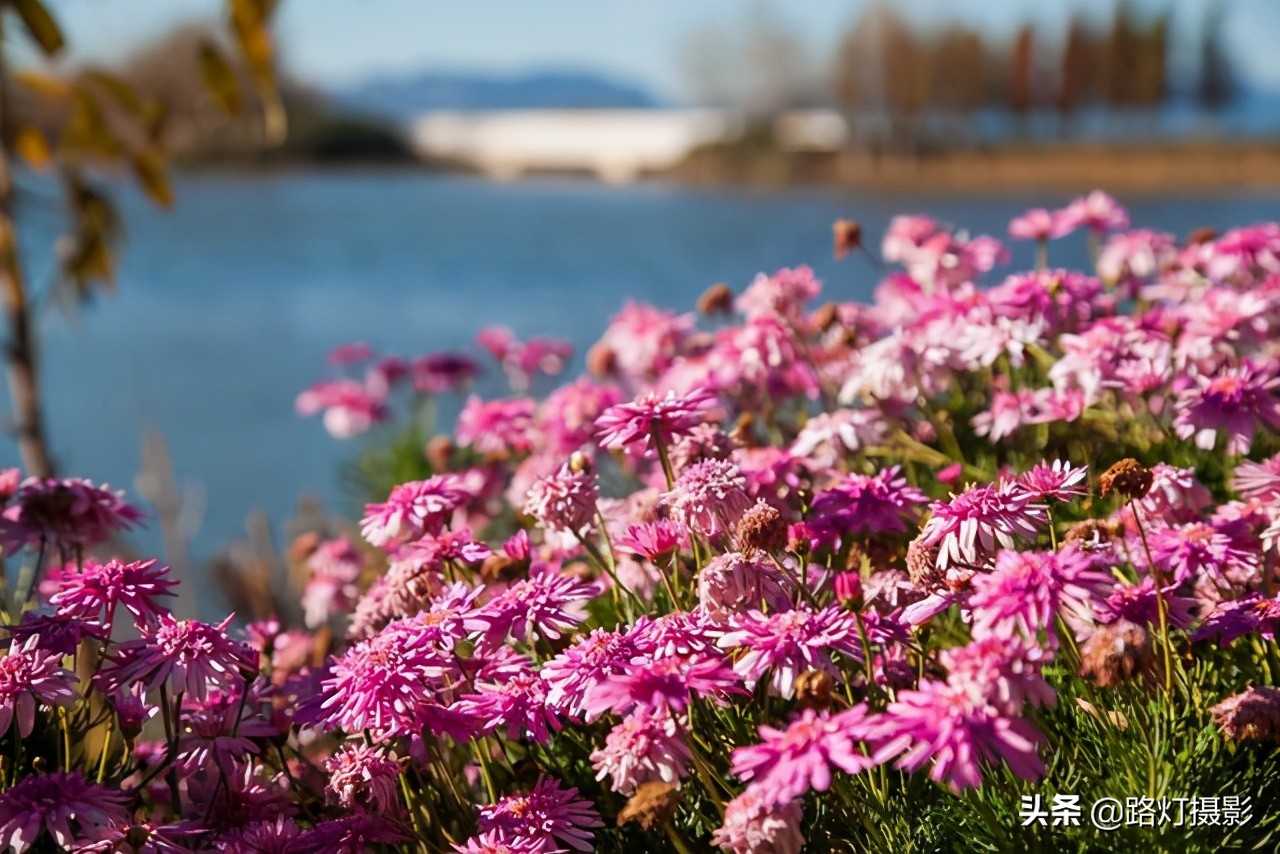 我国最凉爽的4座避暑城市,中国最凉快的十大避暑胜地