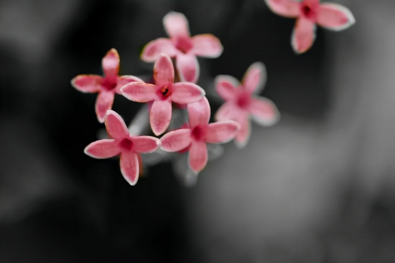 别着急属于你的东西早晚会来,属于你的缘分终究会到来