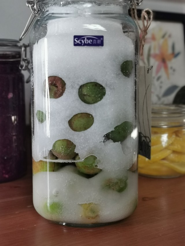 青梅酵素青梅露怎么泡法,青梅露的做法大全家常