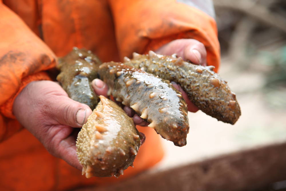 90后小伙走上致富之路,90后小伙自己赚钱的门道