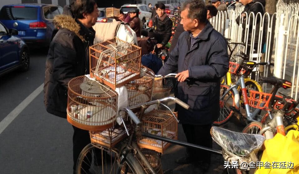 从我，一个东北人的角度，谈北京美食！放宽视界，才真有口福…