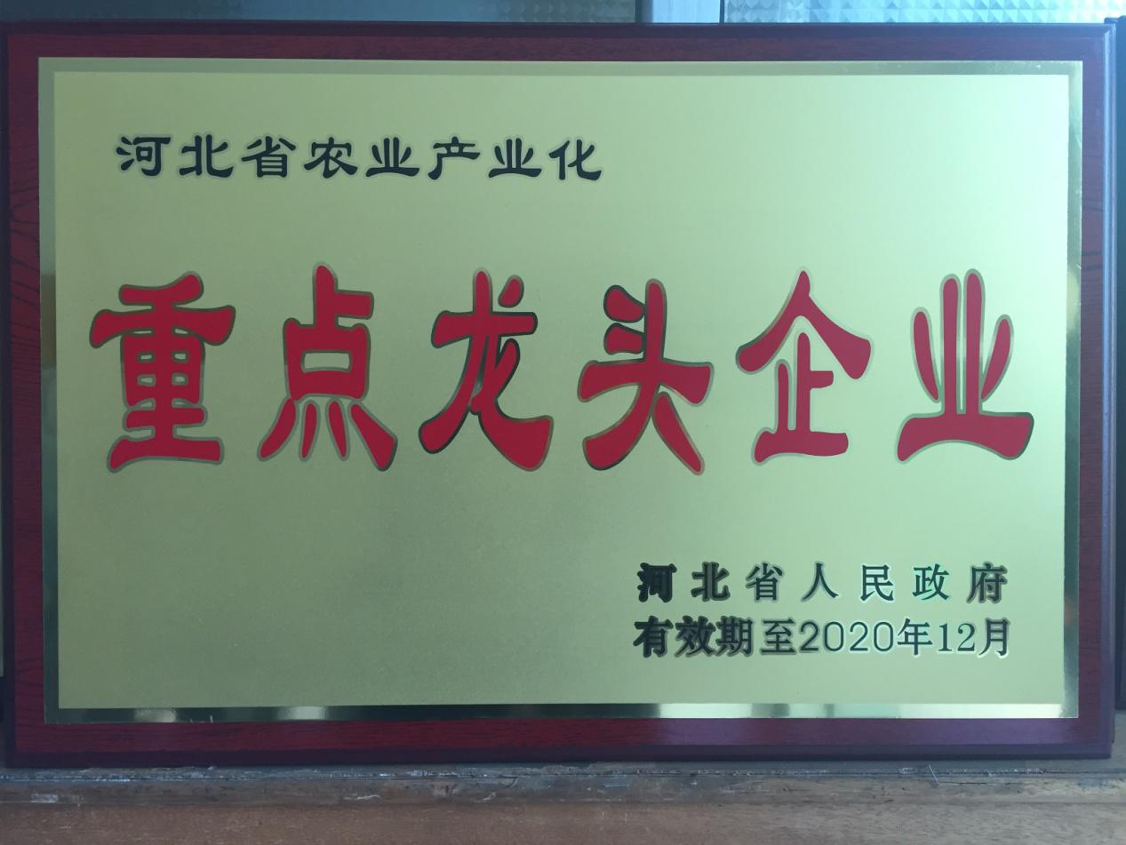 廊坊第二十四届农产品展销会,2024廊坊食品展览会