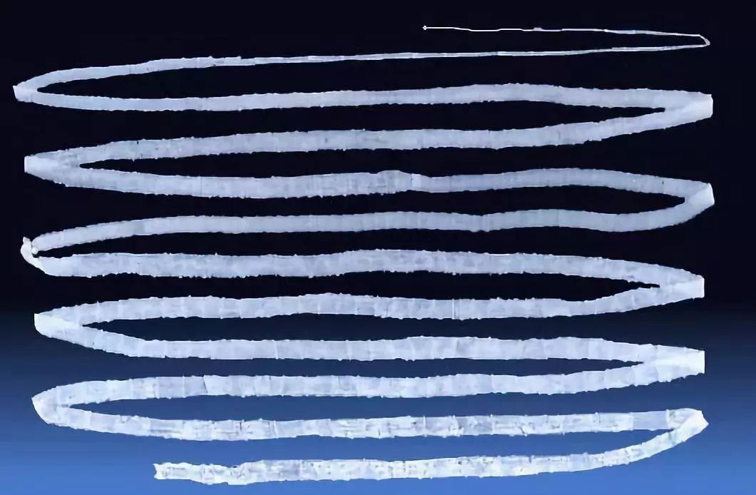 绦虫是怎么繁殖的,绦虫为什么会寄生在人类身上