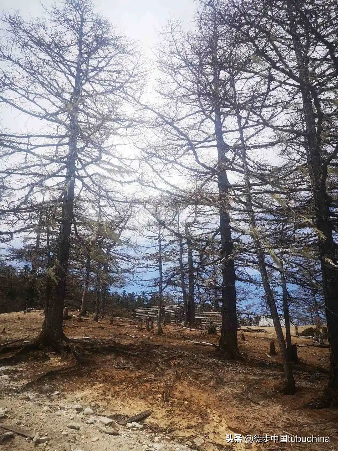 给我一个机会去爱你,给我一个机会让我去爱你