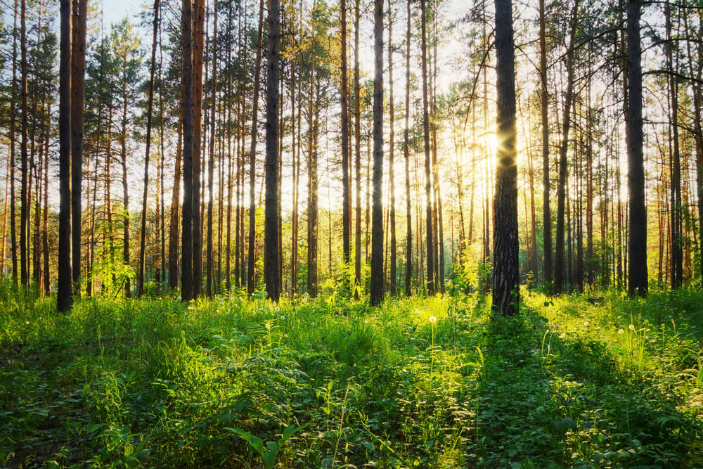 为什么少数民族小姐姐的头发浓密乌亮，这3点是关键