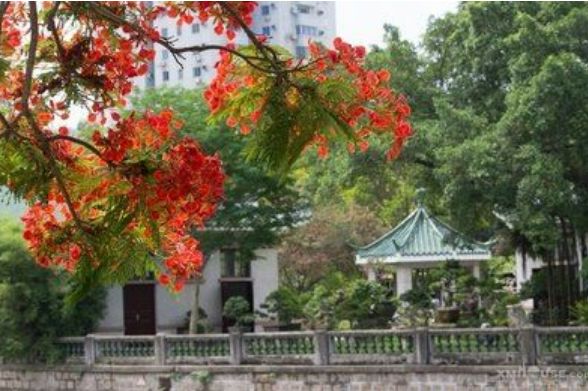 「词风雅韵」季国强｜守望沧桑追过往雄关似铁锁流年