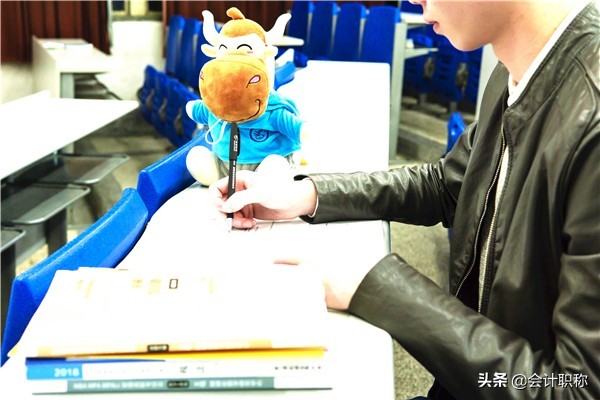 双十一物流公司会计做账,双十一会计活动