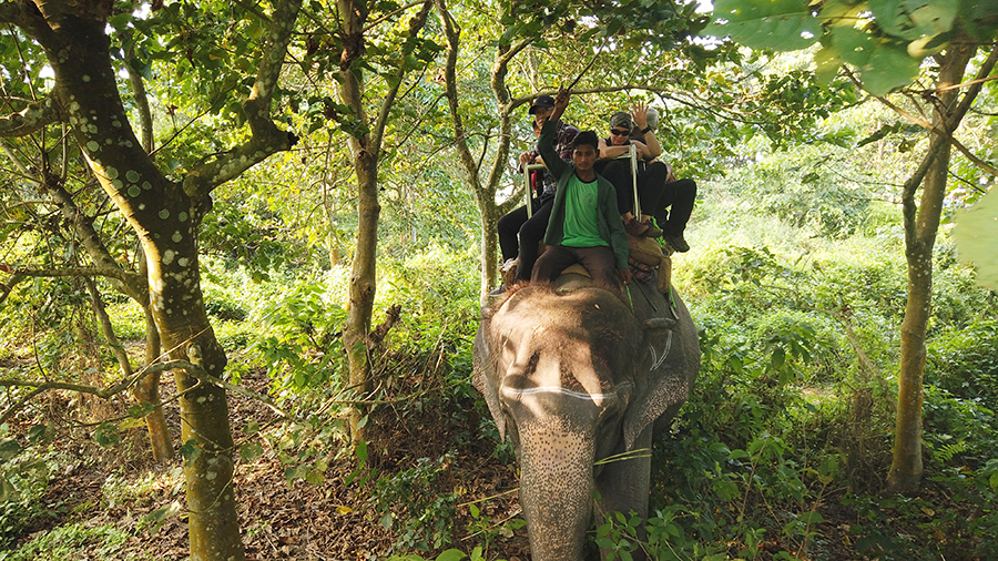 尼泊尔十堰,尼泊尔为什么这么穷