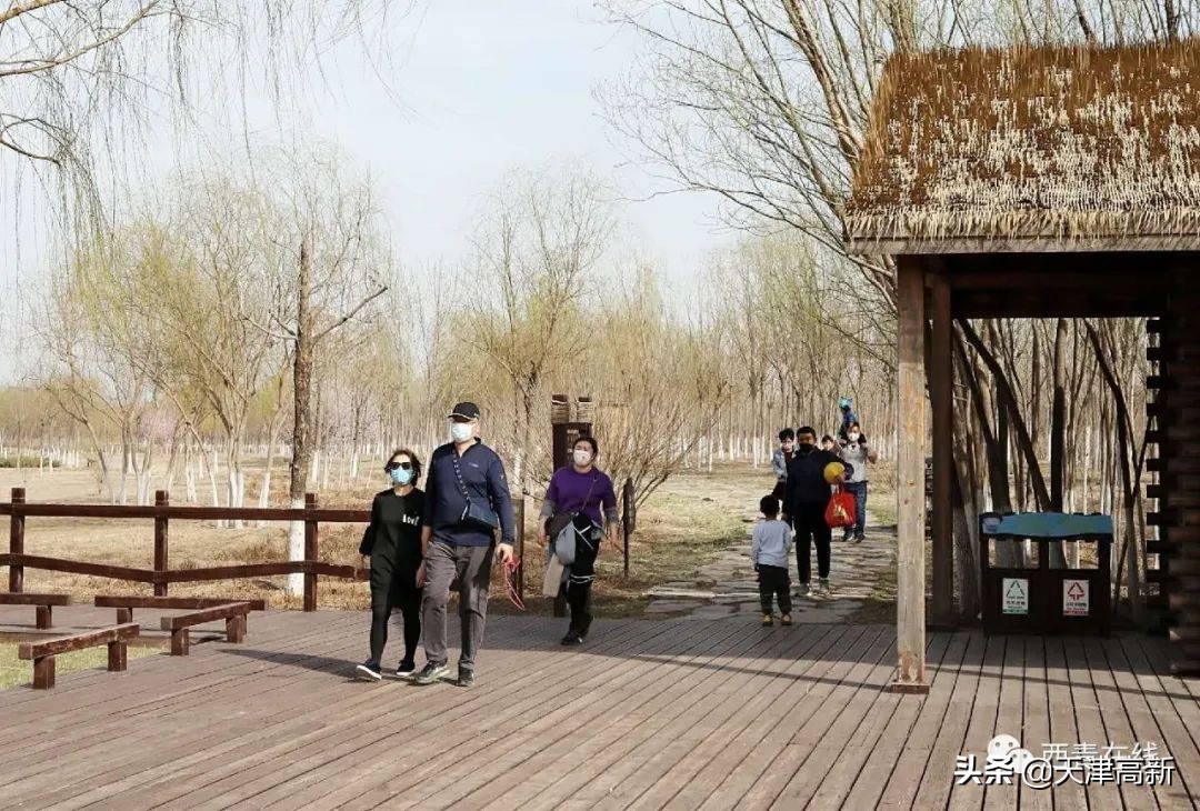 天津即将完工的公园,天津2022年四月开放的公园