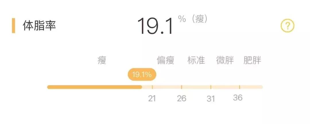 摇一摇减肥工具,减肥工具振动器