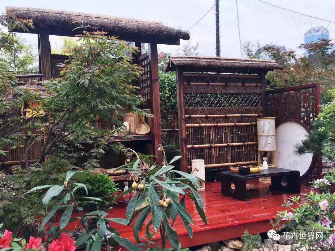 香港花卉艺术展,共赴盛会活动