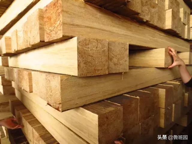 竹子怎么变异成龟甲竹,看竹子挖笋技巧