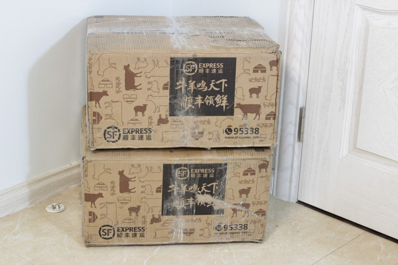 真力g2有源音响 (真力g2有源音箱听交响乐效果如何)