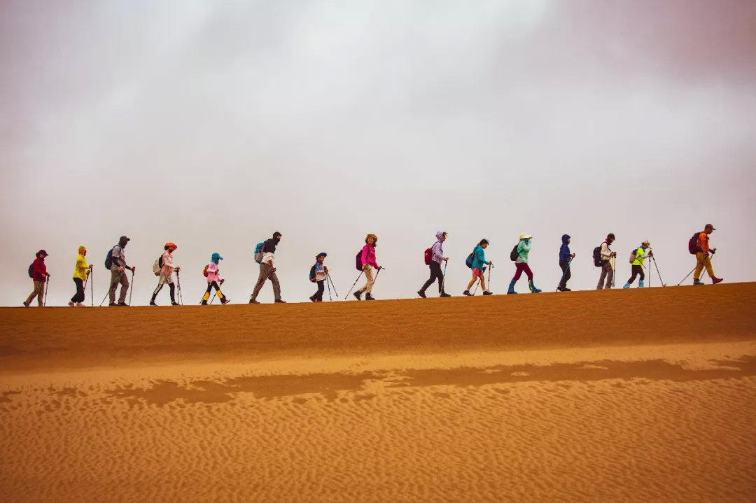 沙漠自然教育夏令营,2020沙漠夏令营报名