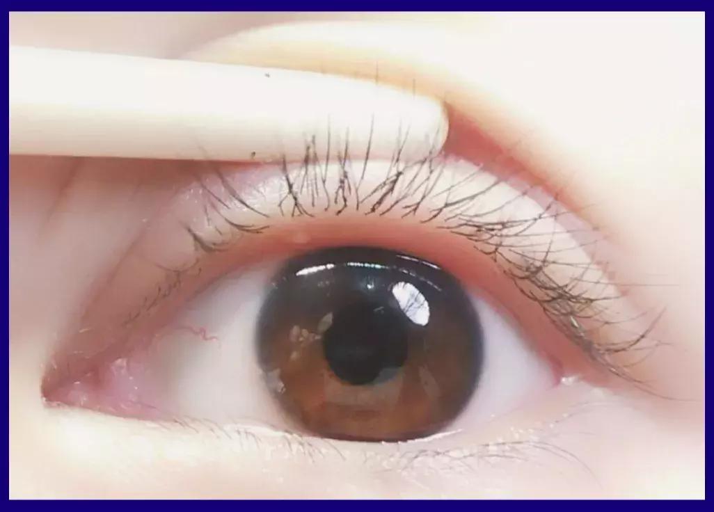 手残党眼线攻略,小猫眼线画法手残党