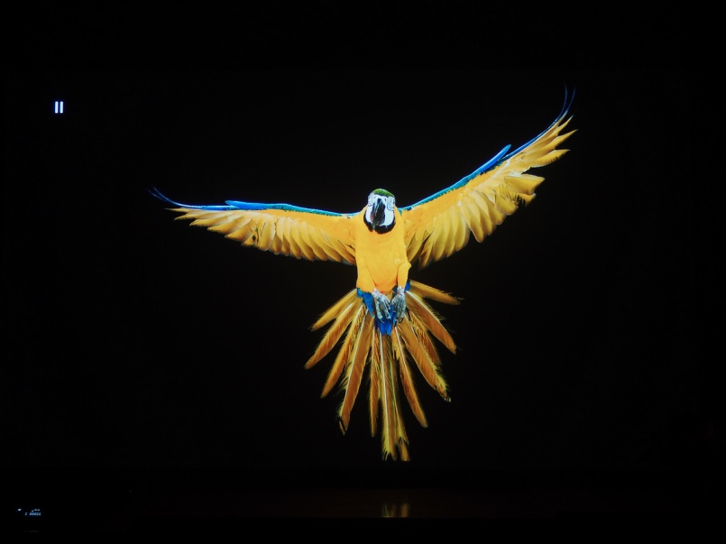 hdmi2.1光纤线开博尔测评,开博尔hdmi1.4线