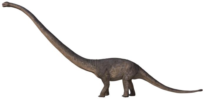 真正的恐龙从哪里来,重庆发现的恐龙是真的吗