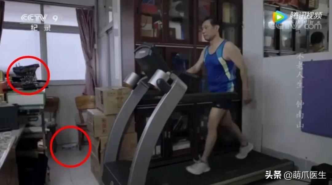 论猫对狗的影响力有多大,论猫有多优雅