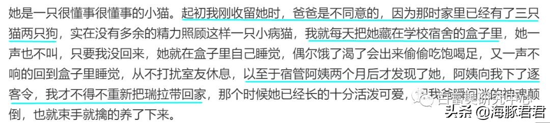 北京小公主靠吸猫血成百万大V,直播整容、大照骗、2年养死3只猫