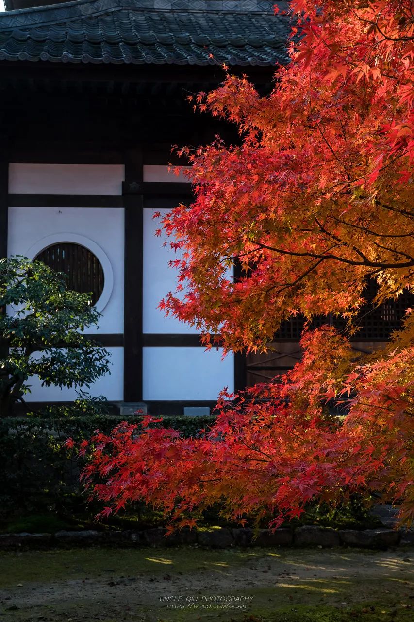 宅家最舒服的景区,宅家最好玩的地方