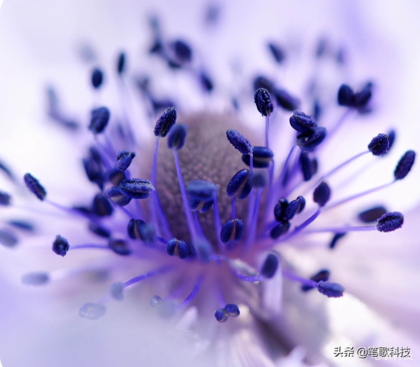 三星superAMOLED屏,三星superamoled屏幕排列