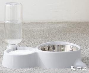 如何领取一只猫咪,如何获得一只猫咪