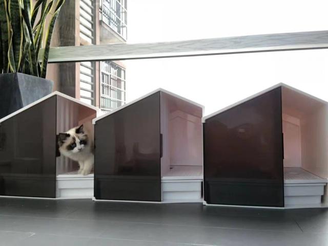 猫咪课堂：关于猫咪“膀胱炎”，看这一篇就够了