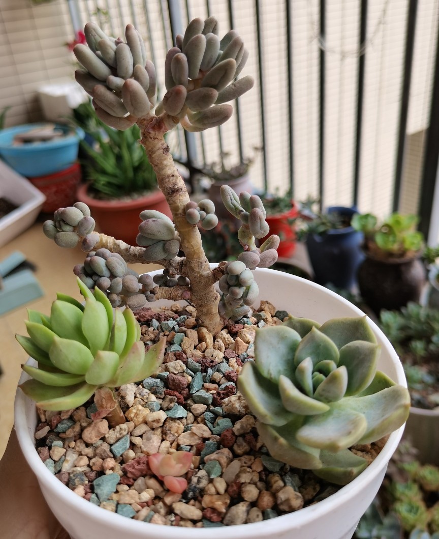 两个月过去了，十元以下的小东西都怎么样了？