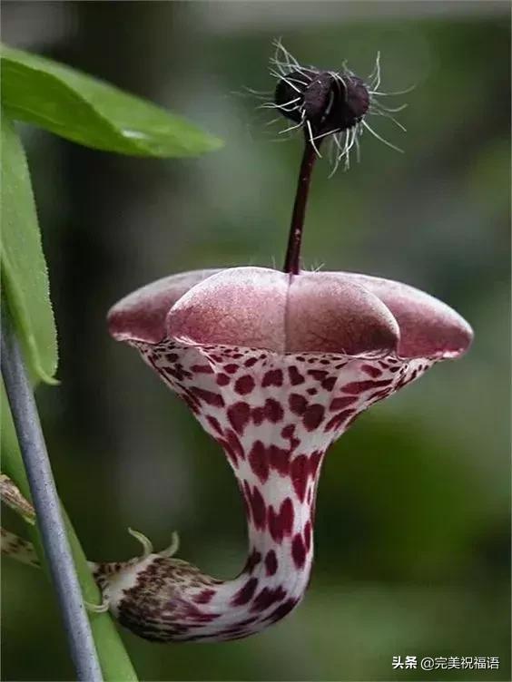 六一相册影集,六一照片专场