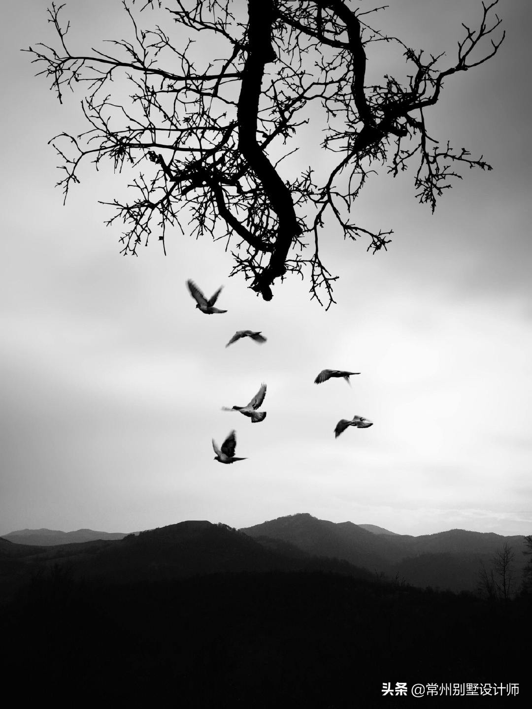 江苏小别墅装修中式风格,常州装修风格案例中式房子