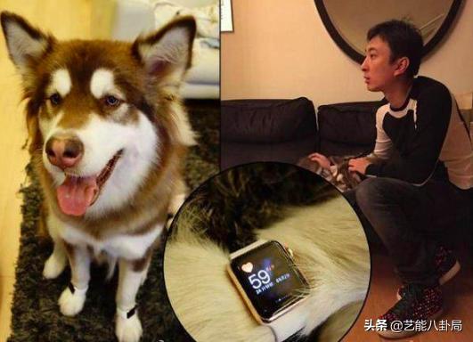 王思聪斥重金买鸭,王思聪自曝斥重金买鸭