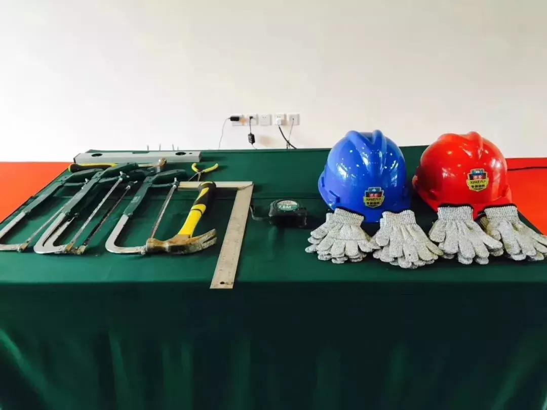 厉害了!这几个小学生竟然花了5天时间在森林里造了一个......