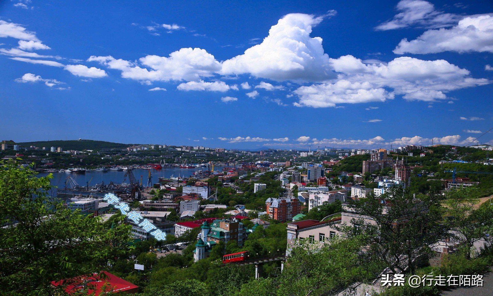 海参崴的渔业资源：挨枪子也要非法捕捞，一次利润数万元