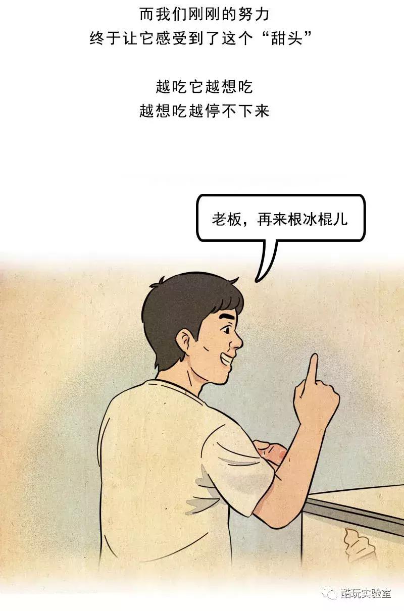 吃太多的糖会让你变胖,让你变丑变老的不是脂肪而是糖