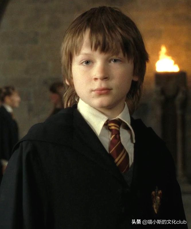 哈利波特中詹姆波特的真实颜值,哈利波特长大逆袭