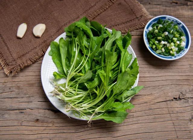 春日小野菜*戏调**指南