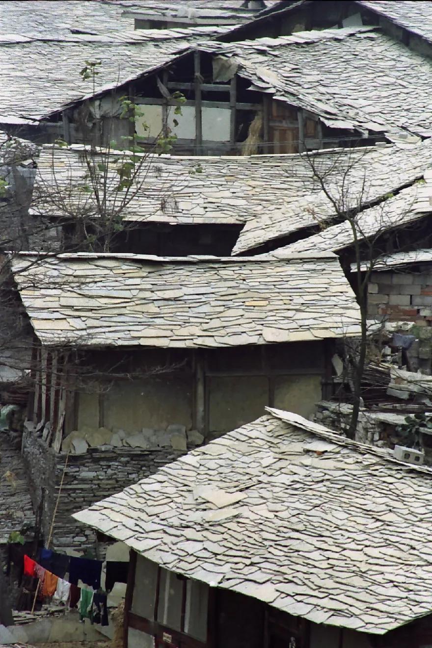 读皮囊的哲理感悟,读皮囊的读后感