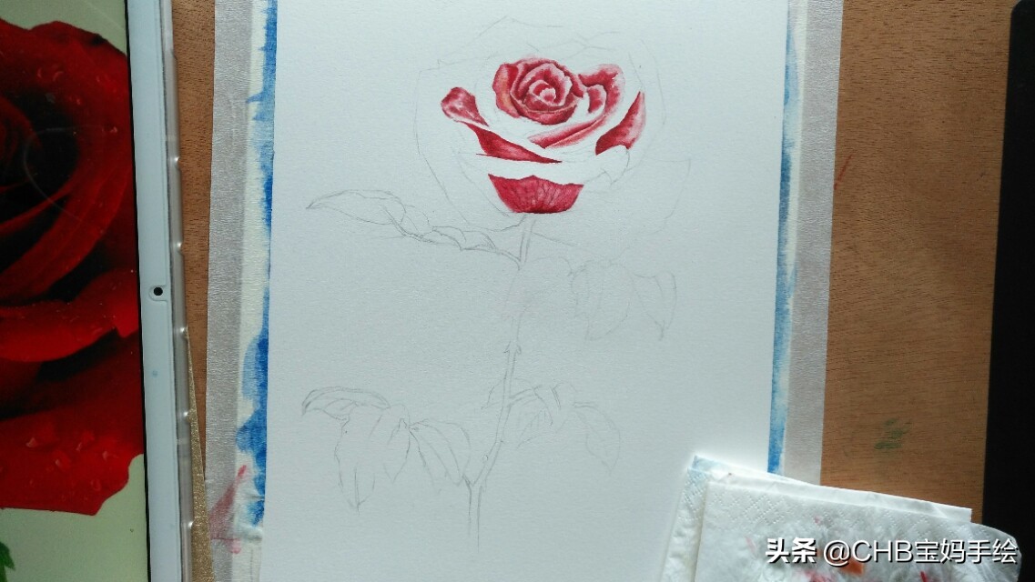 水彩画初学者零基础教程玫瑰花,水彩画教程入门玫瑰花慢教程