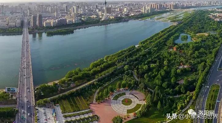 河南洛阳发布最新通知,洛阳牡丹花会向全世界发出邀请