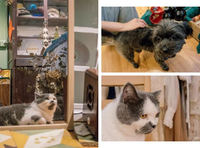 广州小资杂货铺,广州杂货铺哪里最好