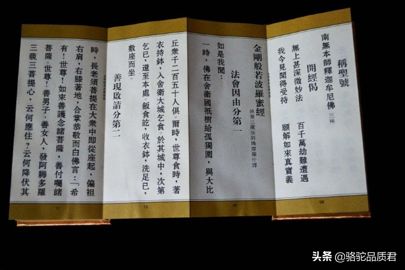 厦门海边之旅,厦门小众旅游体验