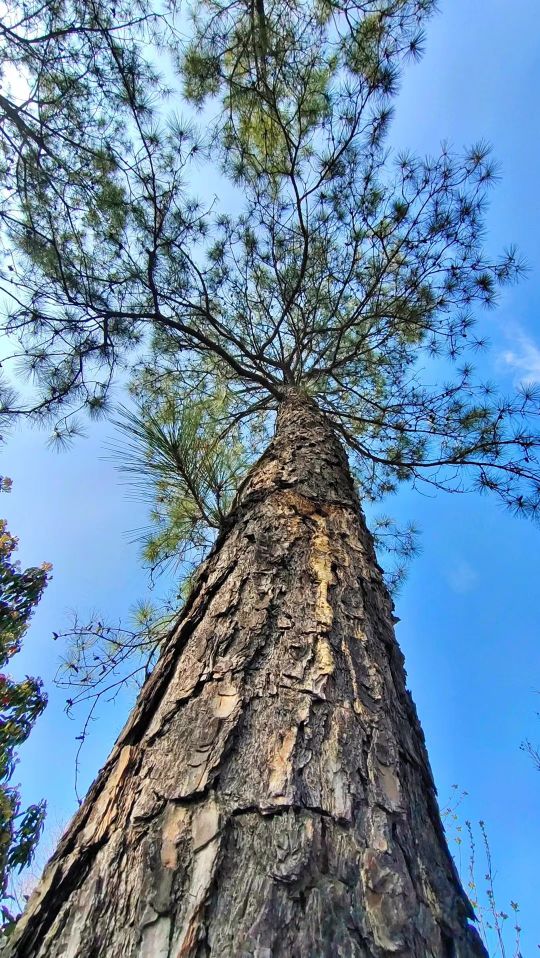 合肥学校里的网红,合肥最牛的初中学校