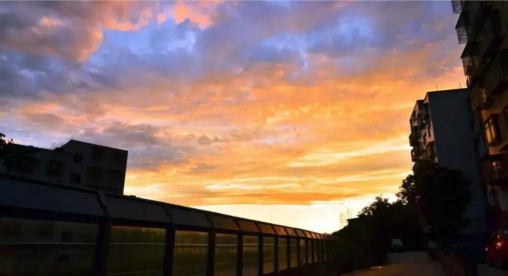 如果有一天累了就回老家到处走走,如果有一天累了就回来吧